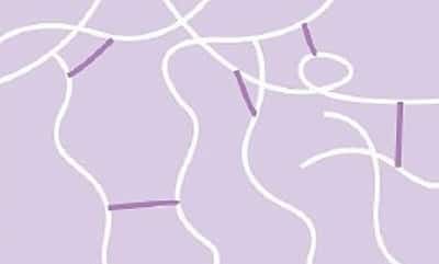 cross-linked cross linked HA